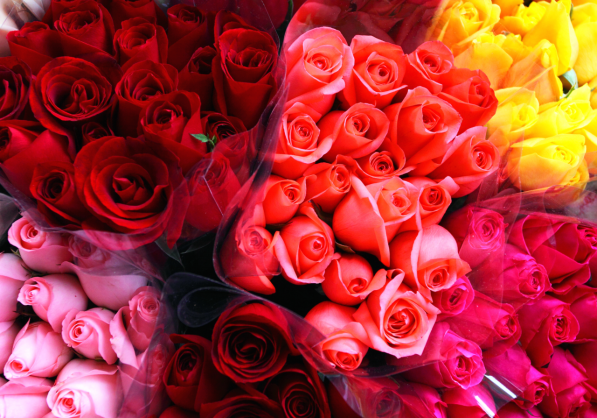 عطرهای گلی